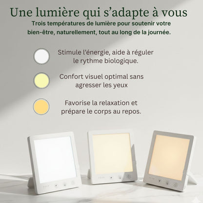 Lampe Luminothérapie LED 10 000 Lux