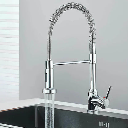 Robinet de Cuisine avec douchette extensible