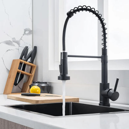 Robinet de Cuisine avec douchette extensible