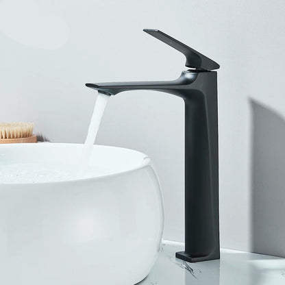 Robinet/Lavabo élégant salle de bain - Grand