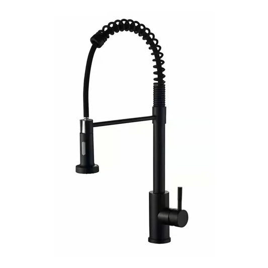 Robinet de Cuisine avec douchette extensible